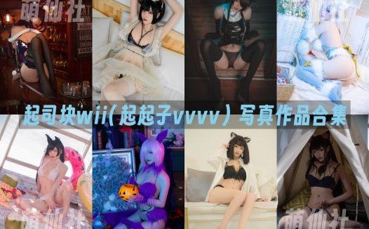 起司块wii(起起子vvvv)：COS写真作品合集&含视频[44套/21.2G]
